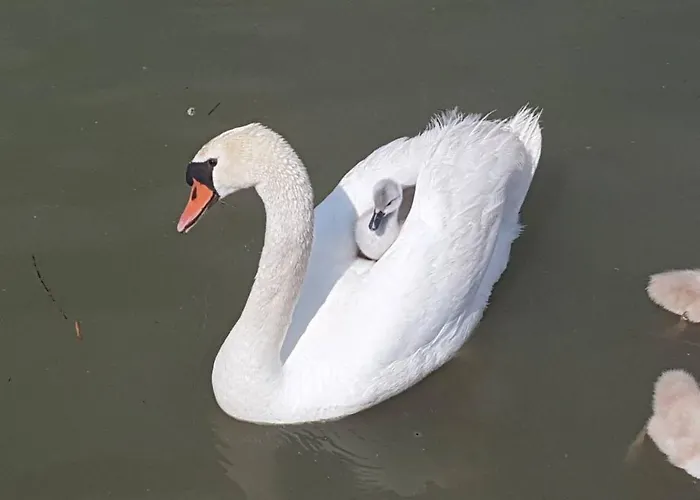 Apartmán Relax And - Delux *